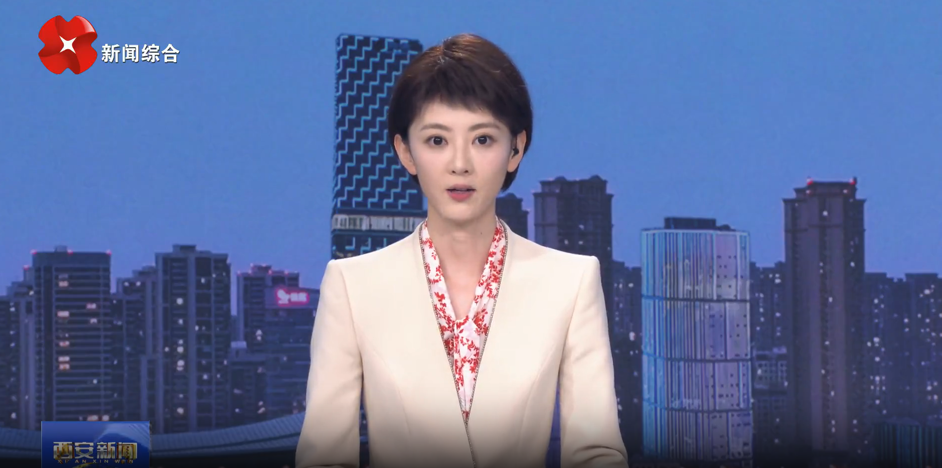 葉牛平在高新區(qū)調(diào)研